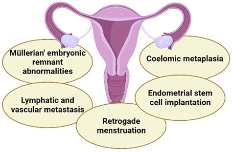 fulguration of endometrial implants
